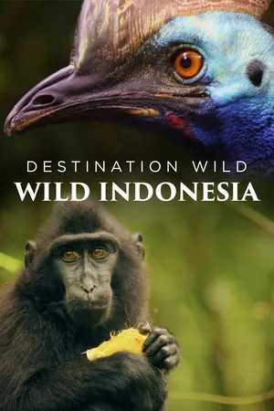 Destination Wild: Wild Indonesia