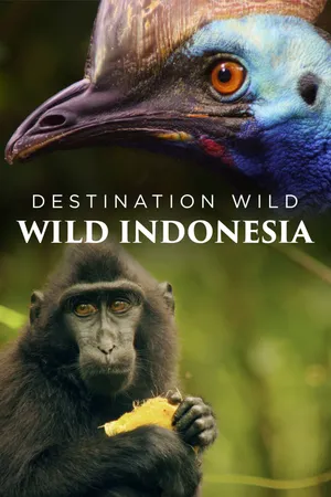 Destination Wild: Wild Indonesia