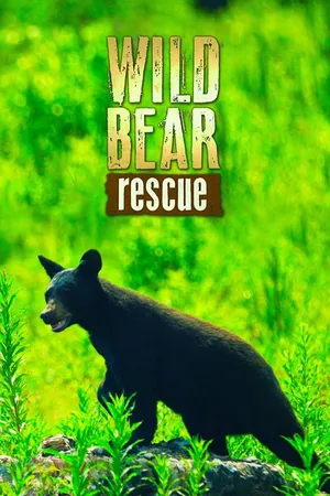Wild Bear Rescue