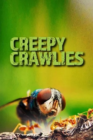 Creepy Crawlies
