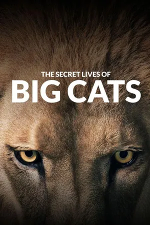 The Secret Lives Of Big Cats