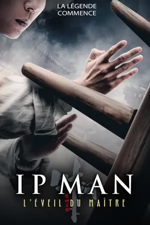 Ip Man - L'éveil du maître