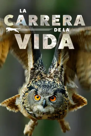 carrera de la vida