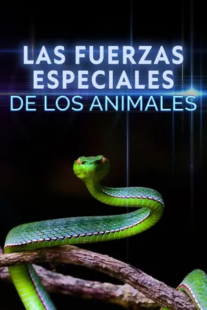 Fuerzas especiales animales