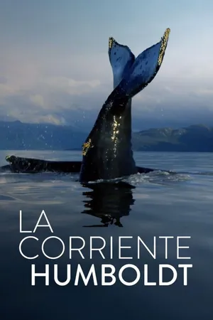 La corriente Humboldt