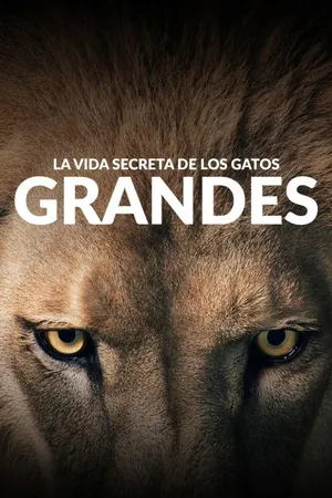 La vida secreta de los gatos grandes