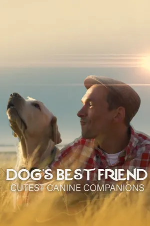 Dog's Best Friend: Cutest Canine Companions