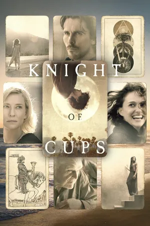 Knight Of Cups
