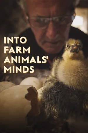Into Farm Animal's Minds