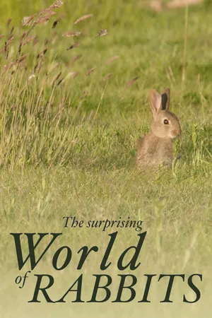 Surprising World Of Rabbits