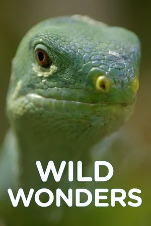 Wild Wonders