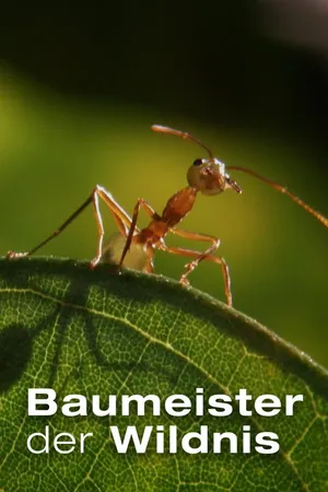 Baumeister der Wildnis