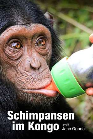 Schimpansen im Kongo - mit Jane Goodall