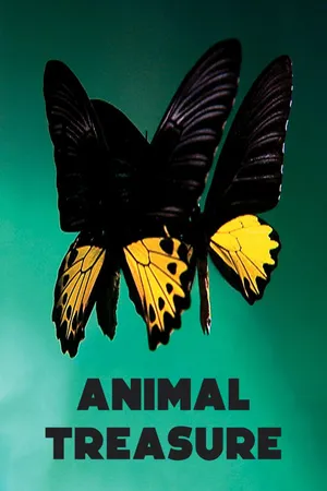 Animal Treasure