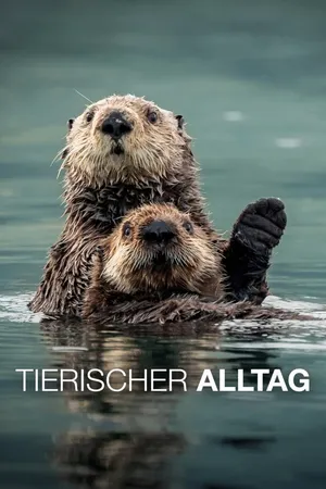 Tierischer Alltag