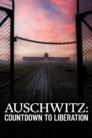 Auschwitz Countdown To Liberation