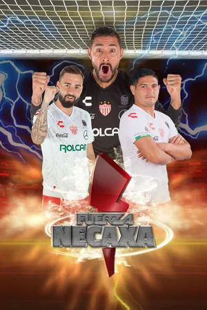Fuerza Necaxa