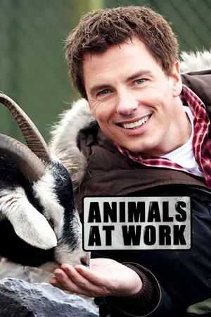 Animals at Work