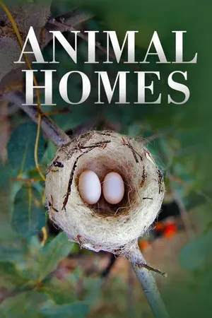 Animal Homes