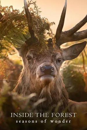 Inside the Forest: Seasons of Wonder