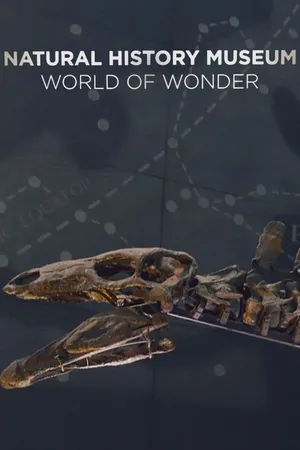 Natural History Museum: World of Wonder