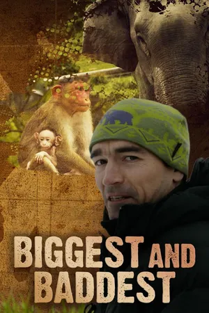 Biggest and Baddest