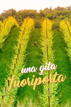 Una gita fuoriporta