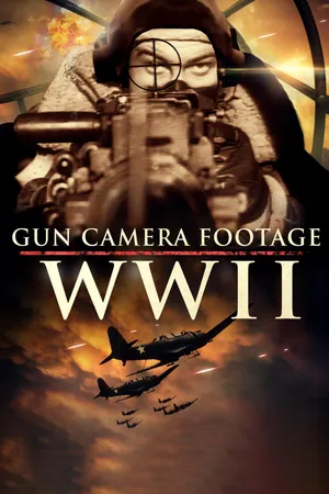 Gun Camera Footage: WWII