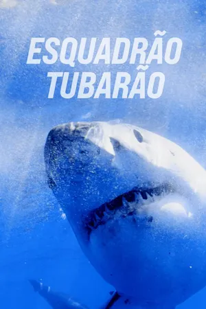 Esquadrão Tubarão