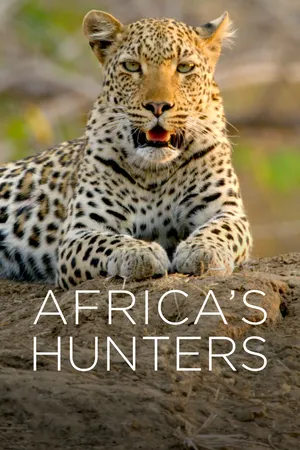 Caçadores Da África