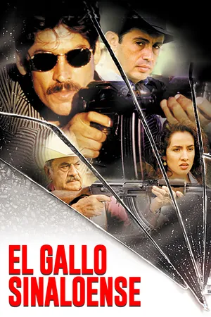 El gallo sinaloense