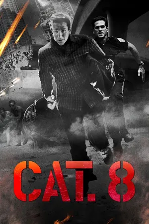 CAT. 8