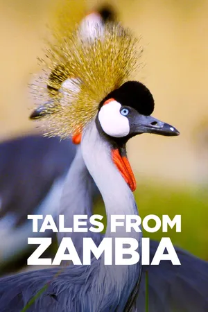 Cuentos de Zambia