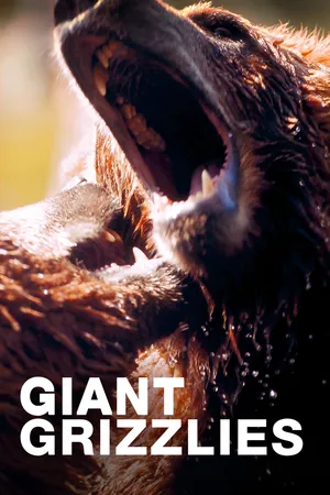 Giant Grizzlies