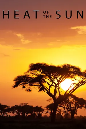 Heat of the Sun