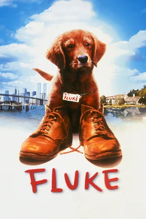 Fluke - Ein Hund räumt auf