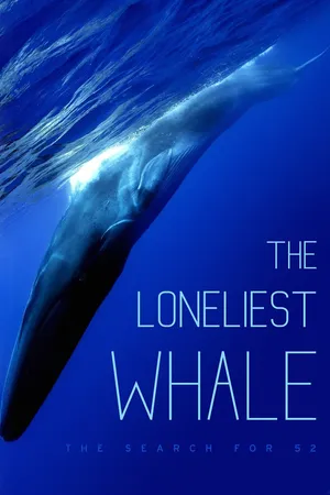 The Loneliest Whale