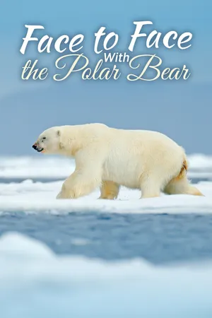 Face to Face with the Polar Bear