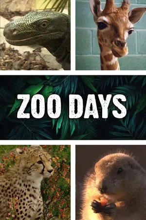 Zoo Days