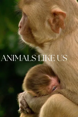 Animals Like Us