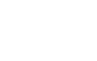 Flicks of Fury