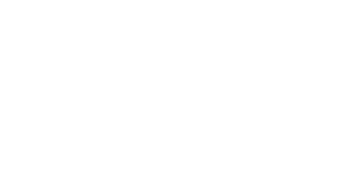 TOTALLY TURTLES
