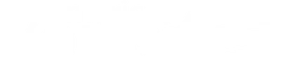 America's Voice News