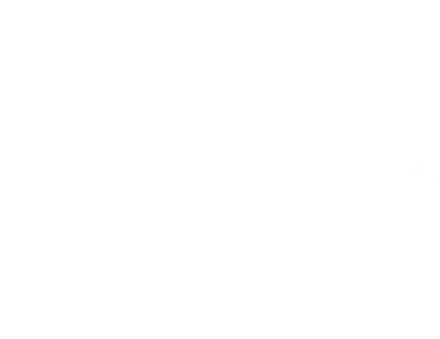 MTV Reality