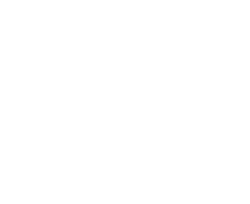 FBI Files