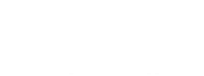 The New Detectives
