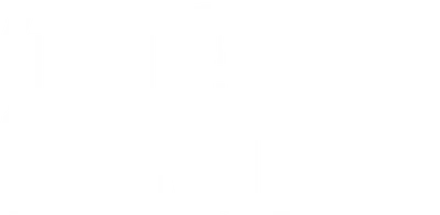 Totally Turtles