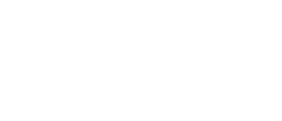 Bravo Vault