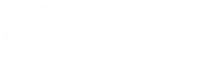 Universal Action
