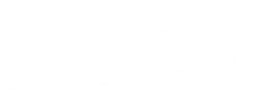 Reno 911